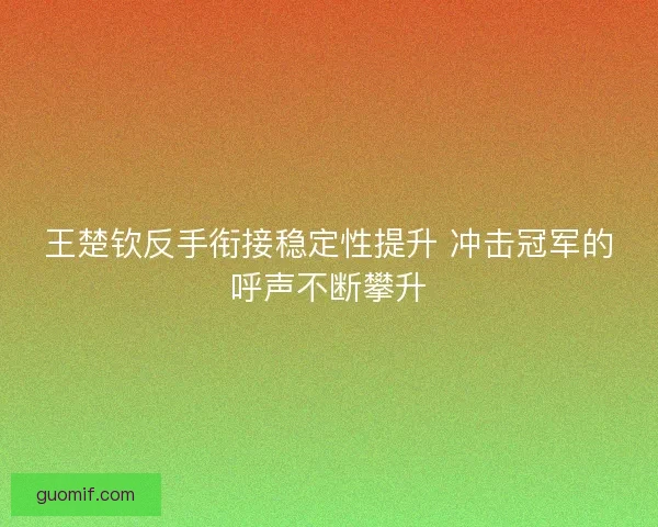 王楚钦反手衔接稳定性提升 冲击冠军的呼声不断攀升 王楚钦反手衔接稳定性提升 冲击冠军的呼声不断攀升